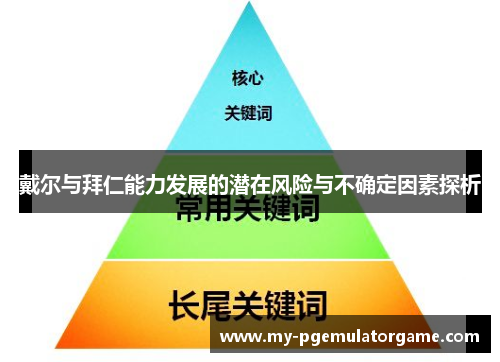 戴尔与拜仁能力发展的潜在风险与不确定因素探析