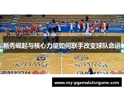 新秀崛起与核心力量如何联手改变球队命运